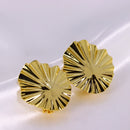 Brinco de Chapa Redondo Amassado