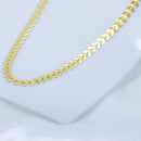 Colar de escamas de peixe