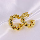 Brinco de Argola Torcido P