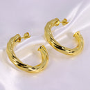 Brinco de Argola Serpenteado G