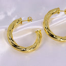 Brinco de Argola Serpenteado G