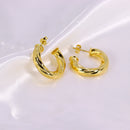 Brinco de Argola Serpenteado M