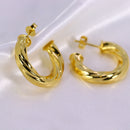 Brinco de Argola Serpenteado M